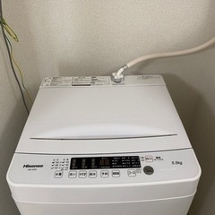 ハイセンス 全自動 洗濯機 5.5kg ホワイト HW-K55E