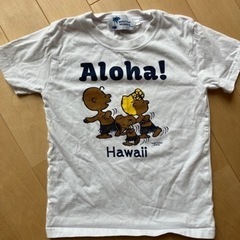 130cm 日焼けスヌーピー Hawaii ハワイ Tシャツ 半袖