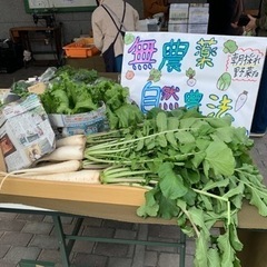 朝採れ無農薬野菜あります！朝市開催　야채 싸다 매주 목요일の画像