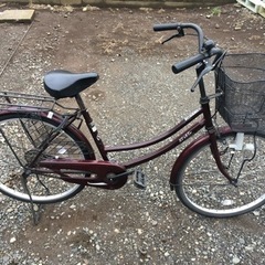 自転車 0314