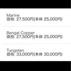 街にも冬山にも！アークテリクス⭐️バックパック♫クインテック27 ⭐️