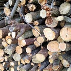 薪　焚きつけ　昨年伐採した木　軽トラ1台分