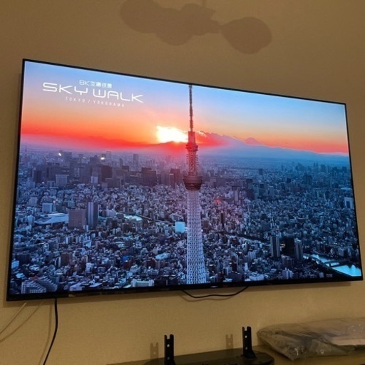 有機EL 液晶テレビ　65型