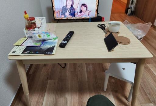 R405 モダンデコ ファンモーター搭載 長方形 カジュアル 薦めよ こたつ  