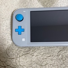 おもちゃ ポータブルゲーム ニンテンドーSwitch Light  