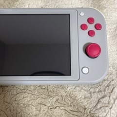 おもちゃ ポータブルゲーム ニンテンドーSwitch Light  