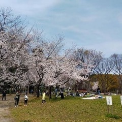 現40名★３/３１(日) 代々木公園🌸アラフォー、アラフィフお花見オフ会♪1人参加大歓迎、人気の野外イベント - 渋谷区