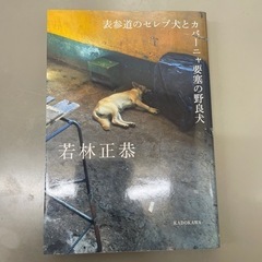 表参道のセレブ犬とカバーニャ要塞の野良犬