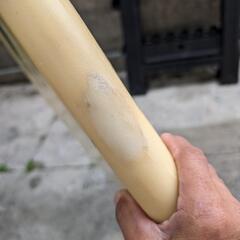 アルメリックサーフボード　ROBEER 5.9スポーツ マリンスポーツ