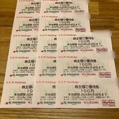 【お取引完了】マルエツ/カスミ/マックスバリュ 株主優待券1300円分