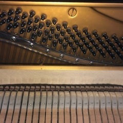 商談中楽器 鍵盤楽器、ピアノ　ヤマハアップライトピアノ　U1H