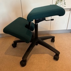 VARIER ヴァリエール　WING バランスチェア