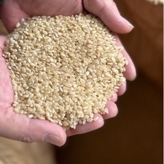令和5年収穫　ヒノヒカリ　玄米　30kg　