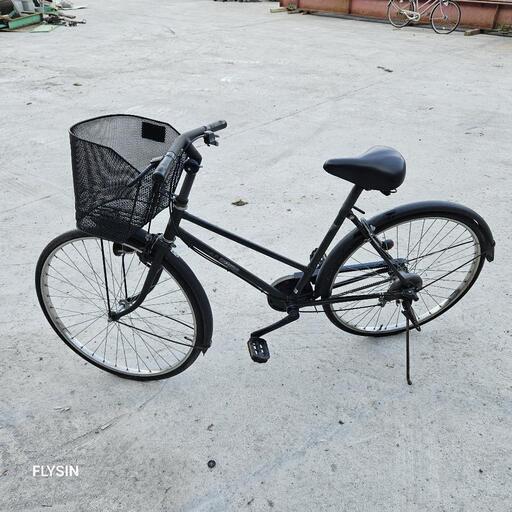 64 S&P アンスリウム 純系 ピンクレモネード 親株放出 オリジナル輸入株