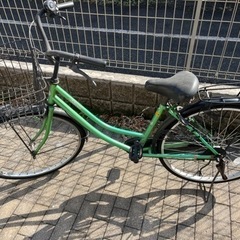 自転車　グリーン