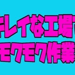 すぐ決まる！未経験から始める【軽作業】日払いOK★社宅完備（大津町）