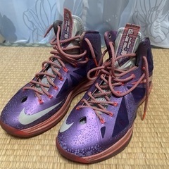 希少 NIKE レブロン Lebron 10 NBAオールスター...