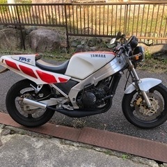 【ネット決済】TZR250 1KT