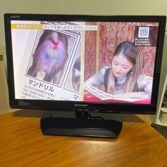 家電 テレビ 液晶テレビ