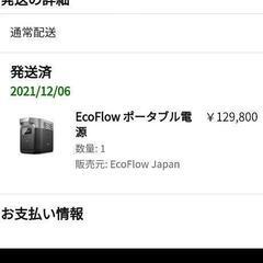 ecoflow EFDELTA1000　200W折り畳みソーラー...