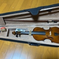 【ネット決済・配送可】ヴァイオリン　RV200 4/4サイズ　ジ...