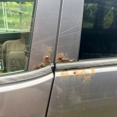 【車検切れ•不動】さらに値下げ‼︎ HONDA ZEST グレー　