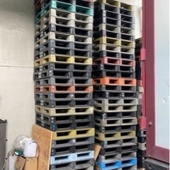 ビールパレット