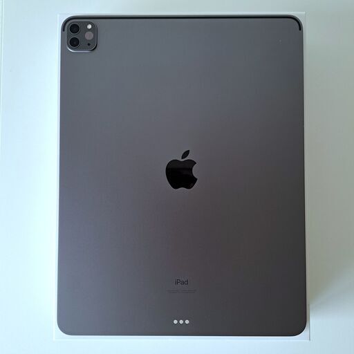 極美品】iPad Pro 12.9インチ 第5世代 Wi-Fi 256GB Apple iPad Pro