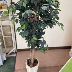 観葉植物　フェイクグリーン