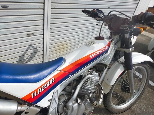 書付公道トライアル車 TLR250R実働 林道、酷道に！
