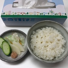 食品サンプルセット