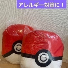 ポケモン　モンスターボール　リュック　新品