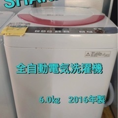 SHARP  全自動電気洗濯機 6.0kg