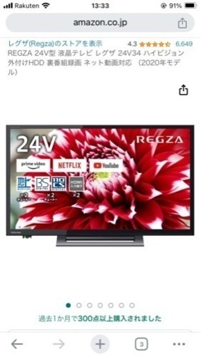 注目ショップ TOSHIBA REGZA 24型Androidテレビ24V34(2021年製)＋Trunab 24インチディスプレイ用キャリングバッグ 液晶テレビ