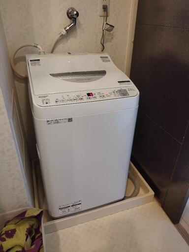 家電 生活家電 洗濯機