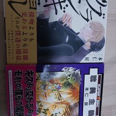 耽美　BL　２冊セット　本仁戻先生著