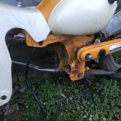 ホンダ  リトルカブ