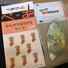 Z会 年長コース 未記入 1年分