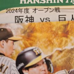 3/10(日)阪神対巨人 オープン戦