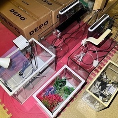 ♦︎水槽 お得 セット♦︎