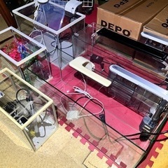 ♦︎水槽 お得 セット♦︎