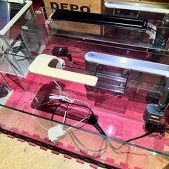 ♦︎水槽 お得 セット♦︎