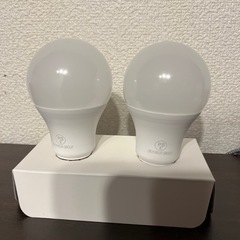 led電球 4灯