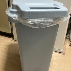 【45Lのゴミ箱】※引き取り日指定