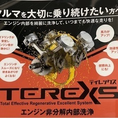 TEREXSエンジン内部洗浄サービスの画像