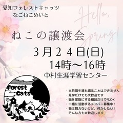 譲渡会　名古屋