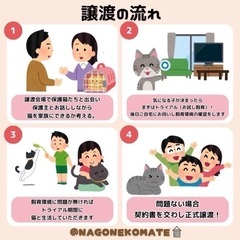 3/10名古屋保護猫譲渡会 − 愛知県