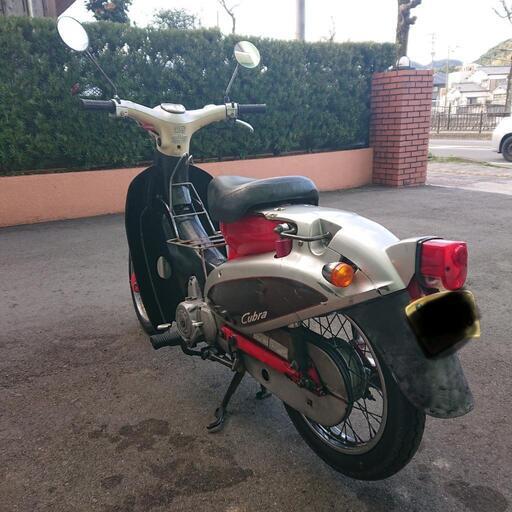 リトルカブ 純正4速72cc仕様 おまけつき カブラカウル リトルカブ 純正4速72cc仕様 おまけつき カブラカウル