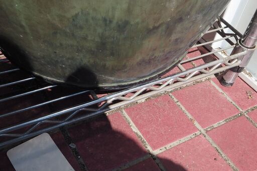 み様 専用 mi様専用 mi～mi様専用。 mimi様 専用ページ - メルカリ