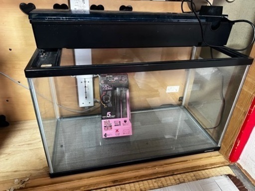 淡水魚水槽セット